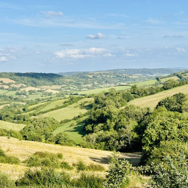 Cotswolds view